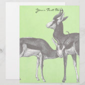Springbok Letterhead (Front/Back)
