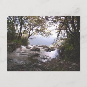 Springbrook Postcard