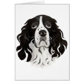 Springer face card (Front)