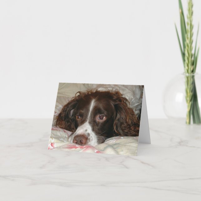 Springer Love Card (Front)