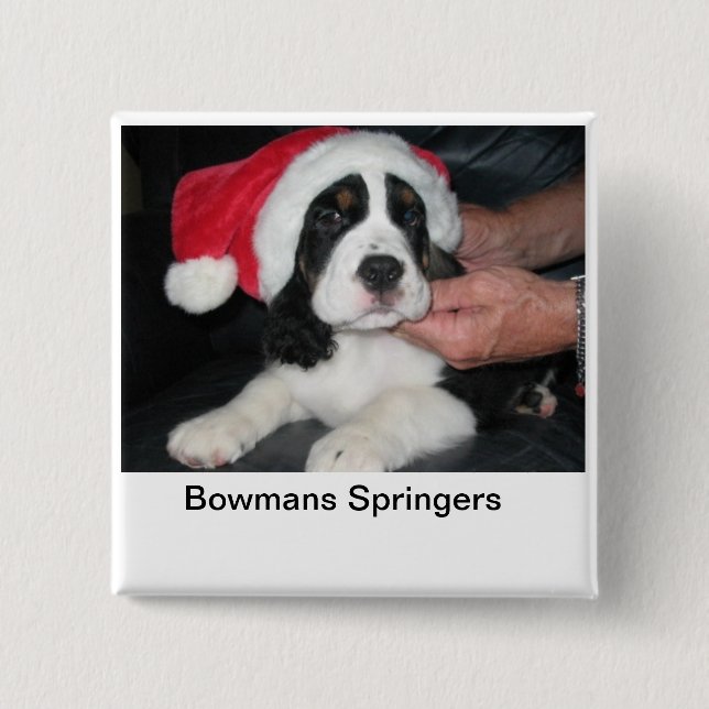 Springer Santa Pin (Front)