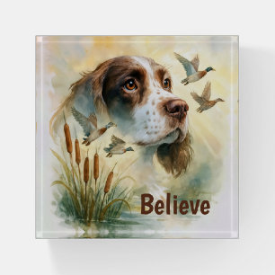 Springer Spaniel and Mallard Duck Double Exposure Paperweight