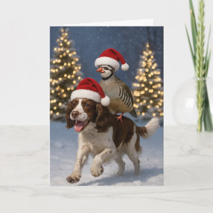 Springer Spaniel and Partridge Christmas card