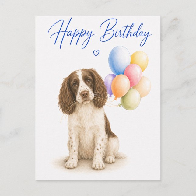 Springer Spaniel Birthday Postcard (Front)