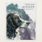 Springer Spaniel Business Dog Groomer Appointment