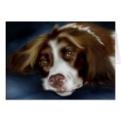 Springer Spaniel Cards (Front Horizontal)