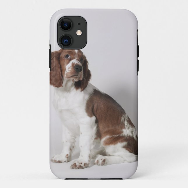 Springer spaniel Case-Mate iPhone case (Back)