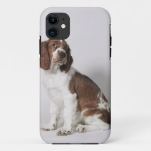 Springer spaniel iPhone 11 case
