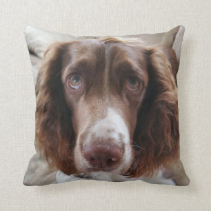 Springer spaniel cushion/springerface throw pillow