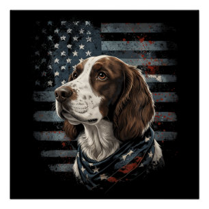Springer Spaniel Dog American Flag Poster