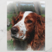 Springer Spaniel Dog Art (Front)