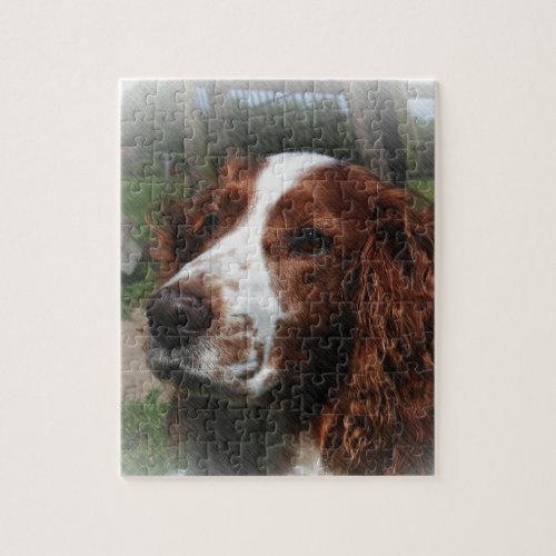 Springer Spaniel Dog Art Jigsaw Puzzle