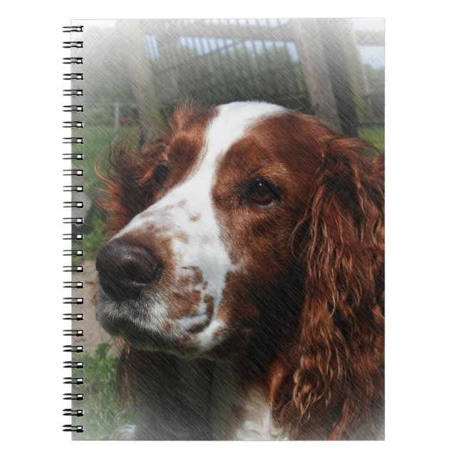 Springer Spaniel Dog Art Notebook (Front)