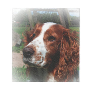 Springer Spaniel Dog Art Notepad