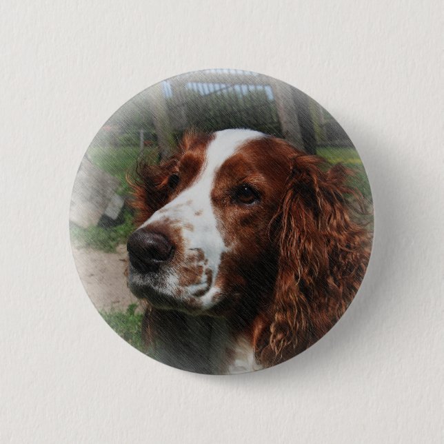 Springer Spaniel Dog Art Pinback Button (Front)