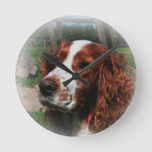 Springer Spaniel Dog Art Round Clock