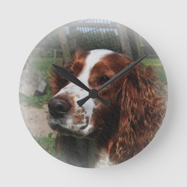 Springer Spaniel Dog Art Round Clock (Front)
