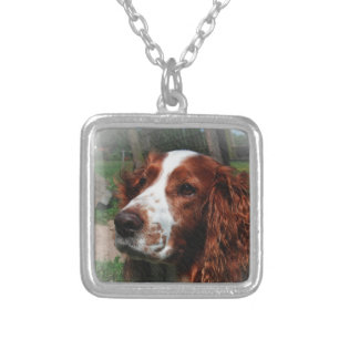 Springer Spaniel Dog Art Silver Plated Necklace