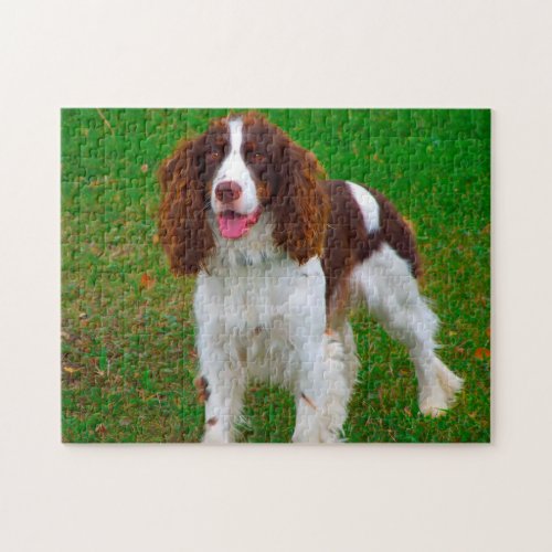 Springer Spaniel Dog Jigsaws Jigsaw Puzzle