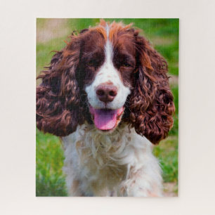 Springer Spaniel Dog Jigsaws. Jigsaw Puzzle