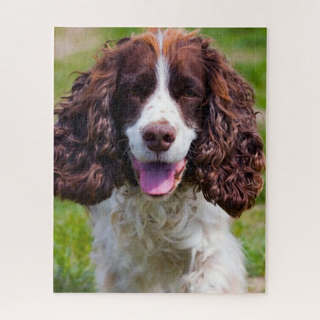 Springer Spaniel Dog Jigsaws. Jigsaw Puzzle (Vertical)