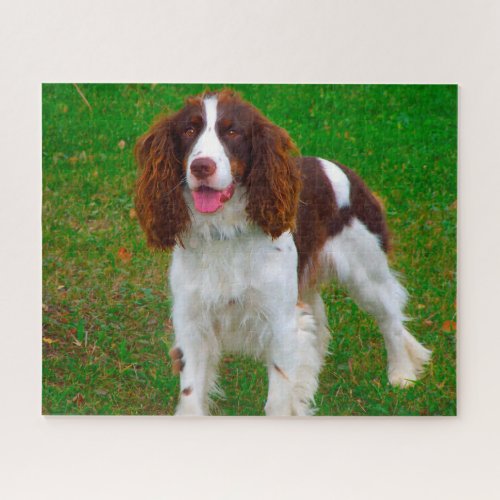 Springer Spaniel Dog Jigsaws Jigsaw Puzzle