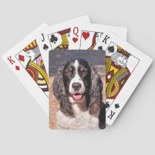 Springer Spaniel Dog Playing Cards