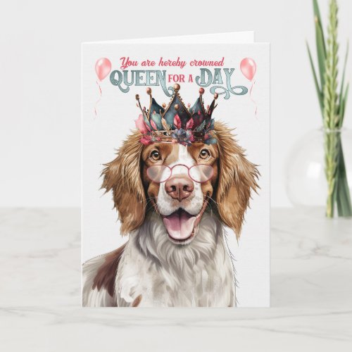 Springer Spaniel Dog Queen Day Funny Birthday Card