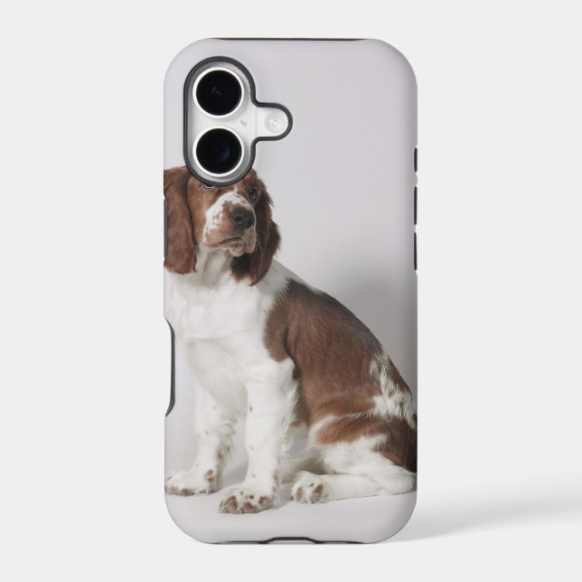 Springer spaniel iphone case (Back)