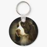 Springer Spaniel Keychain