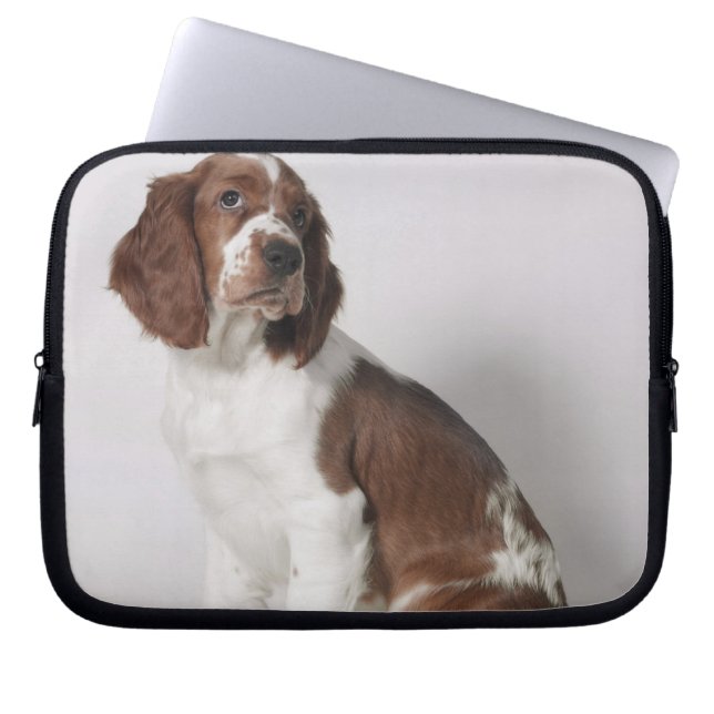 Springer spaniel laptop sleeve (Front)