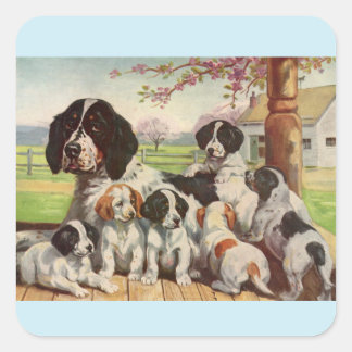 springer spaniel mom and puppies square sticker