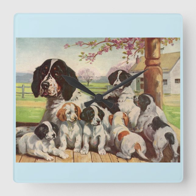 springer spaniel mom and puppies square wall clock (Front)