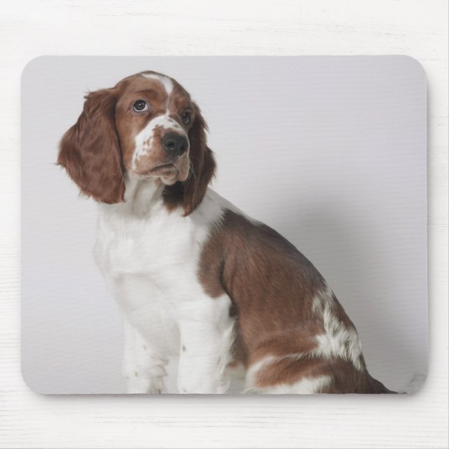 Springer spaniel mouse pad (Front)