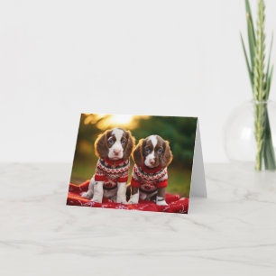 Springer Spaniel Puppies Christmas Card