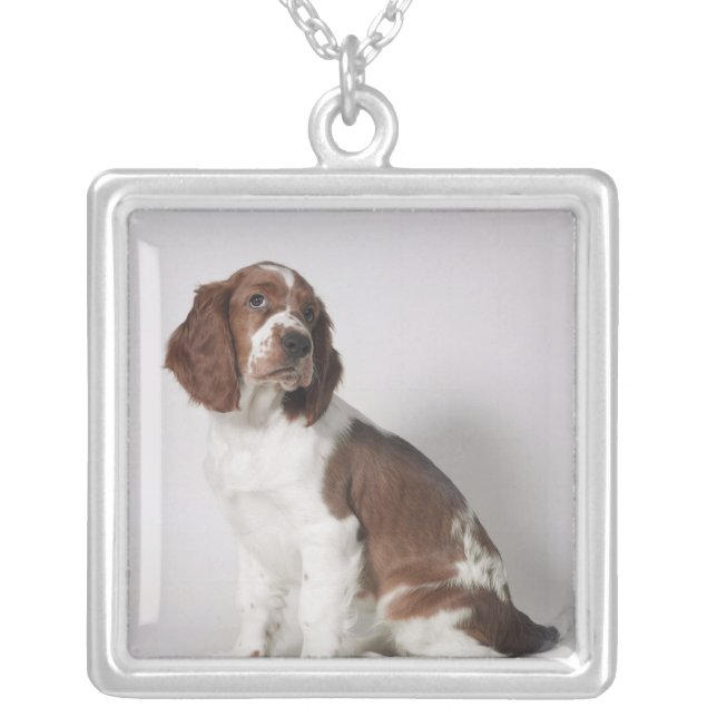 Springer spaniel silver plated necklace (Front)