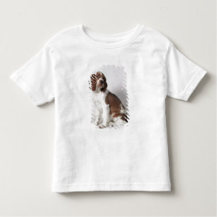 Springer spaniel toddler t-shirt