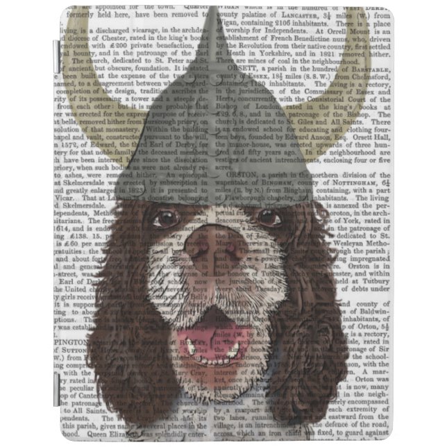 Springer Spaniel Viking iPad Air Cover (Front)