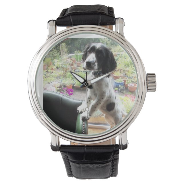 springer spaniel watch (Front)