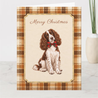 Springer Spaniel Winter Christmas Card