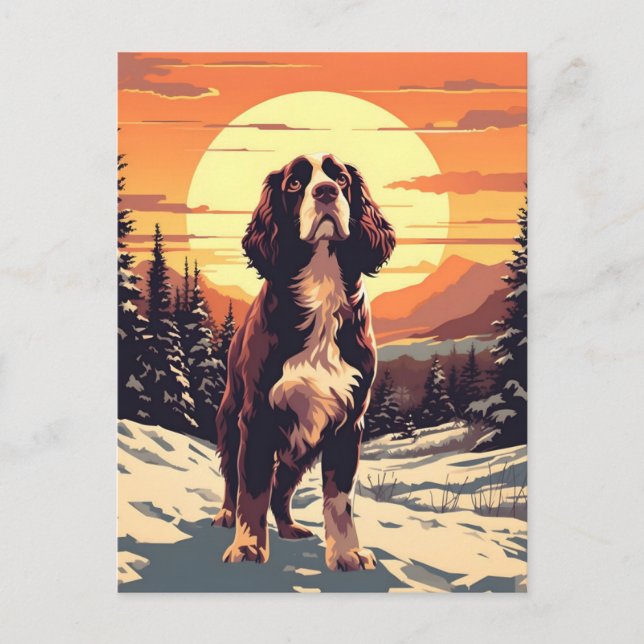 Springer Spaniel winter mountain forest during sun Postcard (Front)