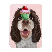 Springer Spaniel with Cupcake 2