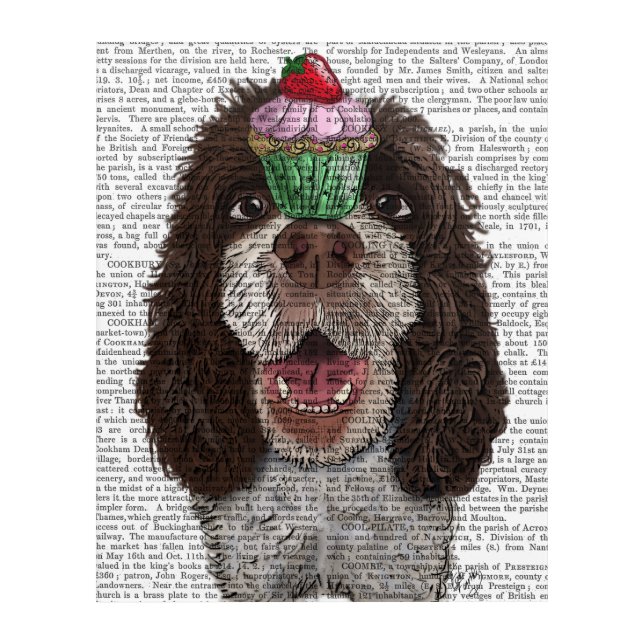 Springer Spaniel with Cupcake Acrylic Print (Front)