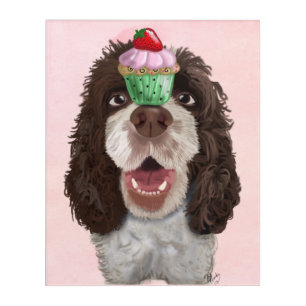 Springer Spaniel with Cupcake Acrylic Print