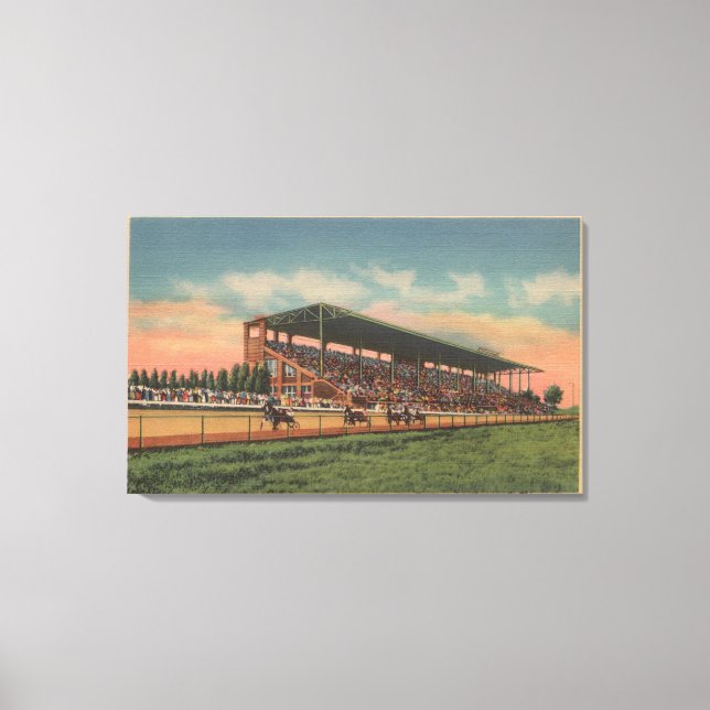 Springfield, IL - State Fair Grounds Horse Canvas Print (Front)