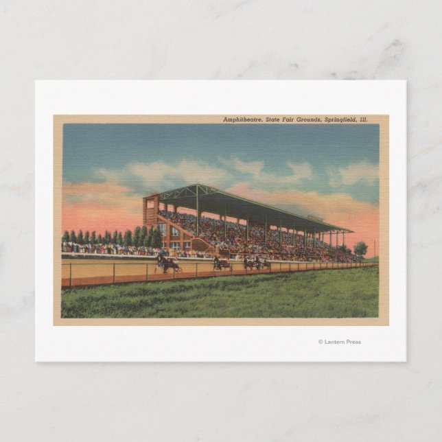 Springfield, IL - State Fair Grounds Horse Postcard (Front)