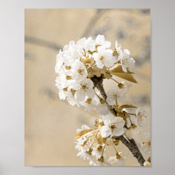Spring's Ballet Dancing Blossoms In The Breeze Poster by nikkilynndesign at Zazzle