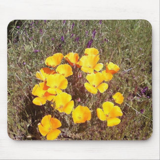 Spring's First Kiss ~ California Poppies Mouse Pad