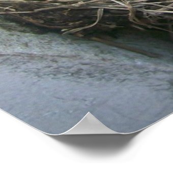 Spring's new arrival poster | Zazzle