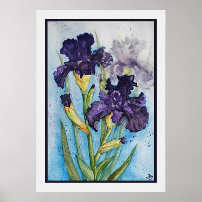 Spring's Purple Iris Poster (Front)
